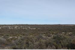 Photo Textures of Background Nature Africa